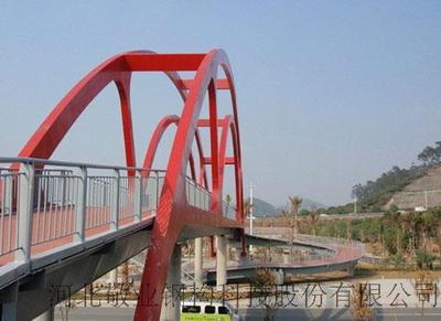 Steel structure overline bridge